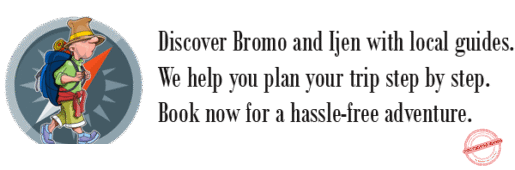 Explore Tourism Bromo Ijen Tumpak Sewu, etc with Local Tour Operators